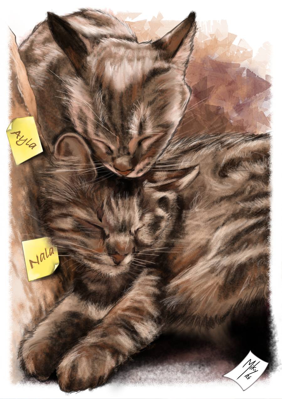 Dibujo de dos gatos durmiendo