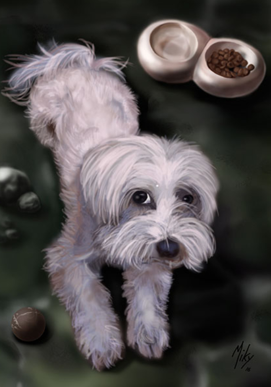 /Ilustración de la perra de raza Bichón Maltes posando junto con su cuenco de comida. Sobre foam 42xm x 30cm