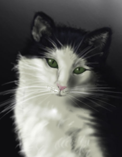 Detalle 2 Ilustración de la gata Palmira con ojos verde. Realizado en colores grises y ojos de color verde. Sobre foam 42xm x 30cm