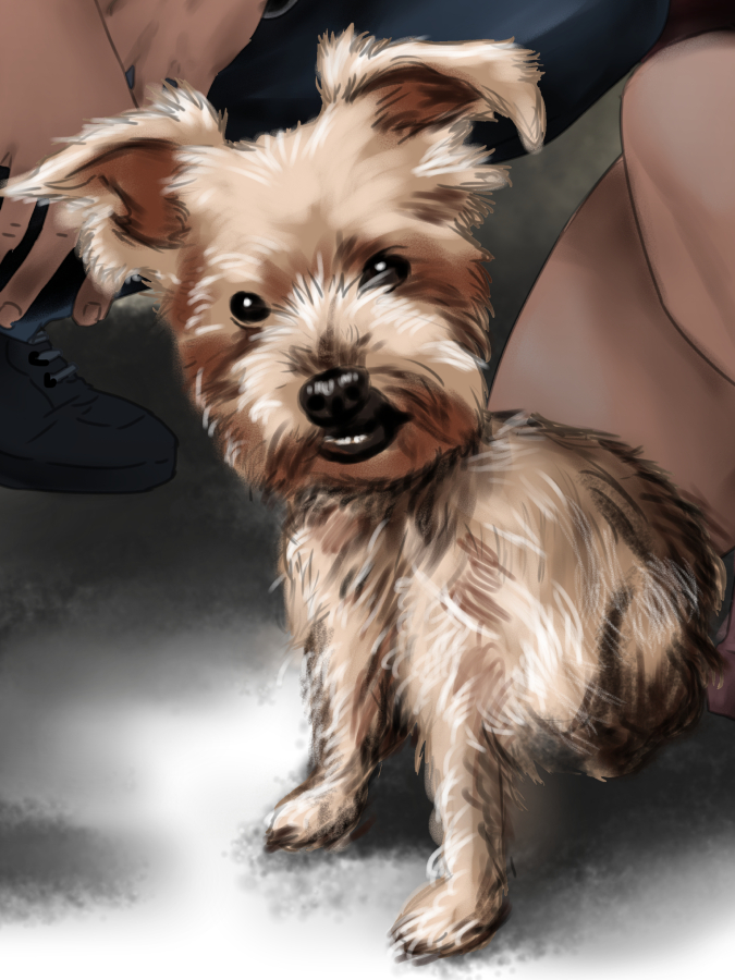 Detalle 3 Retrato personalizado de una pareja con su mascota hecho a medida.