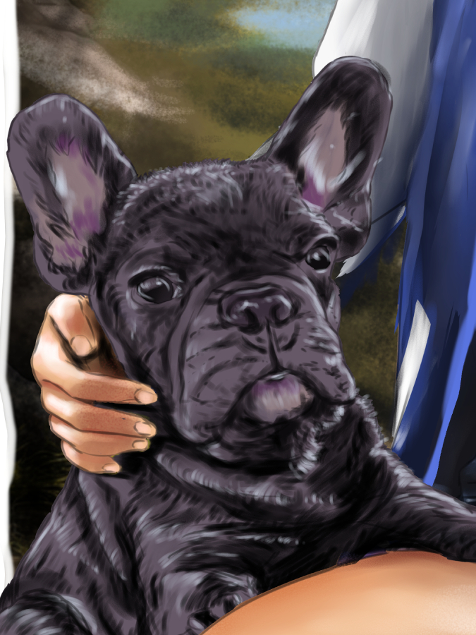 Detalle 3 Convierte a tu mascota en una ilustración única y llena de personalidad con nuestros dibujos personalizados de mascotas. Creamos retratos divertidos y originales de perros, gatos y todo tipo de animales, perfectos para sorprender con un regalo especial y emotivo.